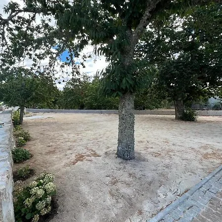 Casa Dos Bernardos * Trancoso