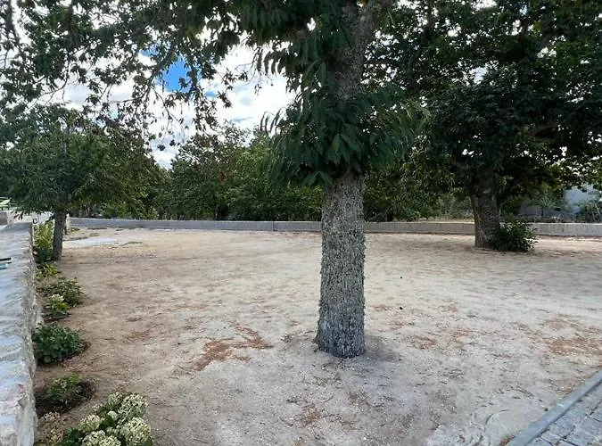 Casa Dos Bernardos * Trancoso